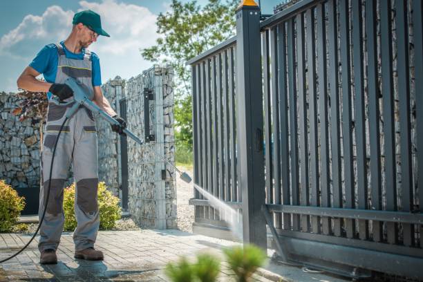 Best Solar Panel Cleaning  in Forrest, IL