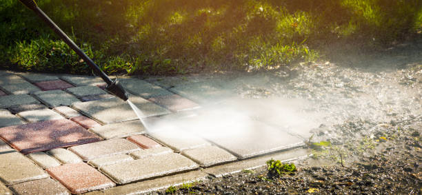 Best Playground Equipment Cleaning  in Forrest, IL